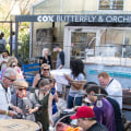 Savor The Unique Culinary Events In Scottsdale, AZ